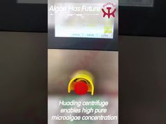 Microalgae